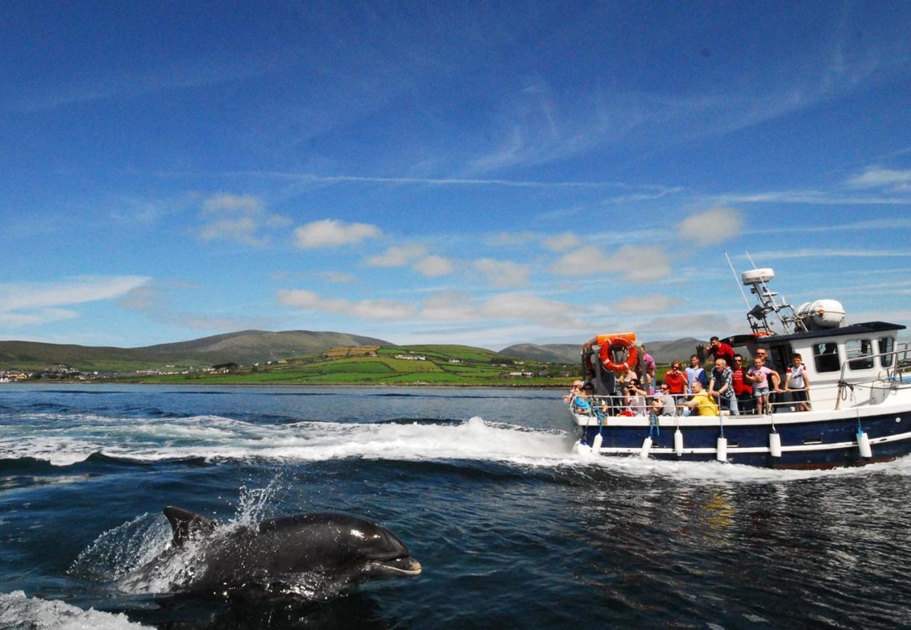 Dingle Harbour Cottages 3 Bed Sleeps 7 By Trident Holiday Homes Εξωτερικό φωτογραφία