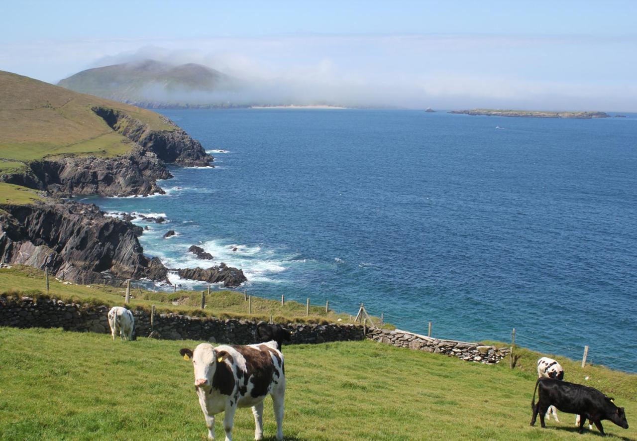 Dingle Harbour Cottages 3 Bed Sleeps 7 By Trident Holiday Homes Εξωτερικό φωτογραφία